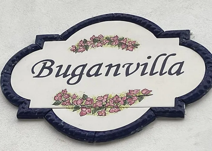 Buganvilla No 3